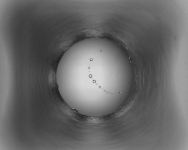 X0000113170624200909111036