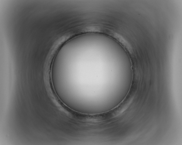 X0000113170625200909111035