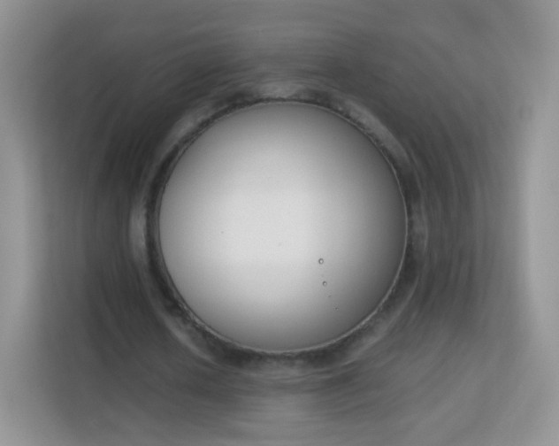 X0000113170626200909111035