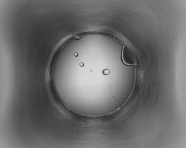 X0000113170628200909111035