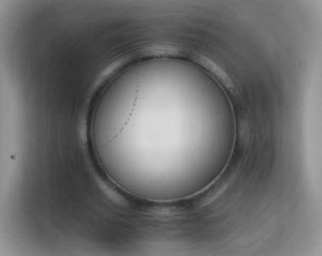 X0000113170629200909111035