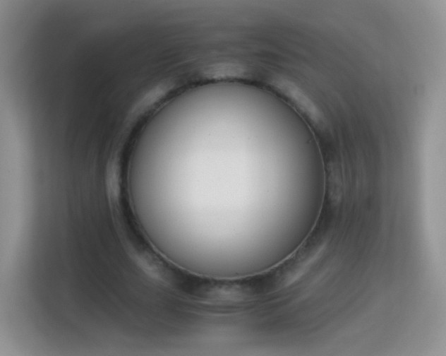 X0000113170631200909111035