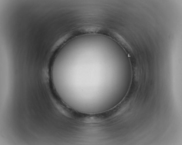 X0000113170634200909111035