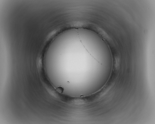 X0000113170636200909111035