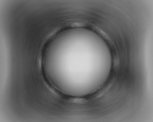 X0000113170637200909111035