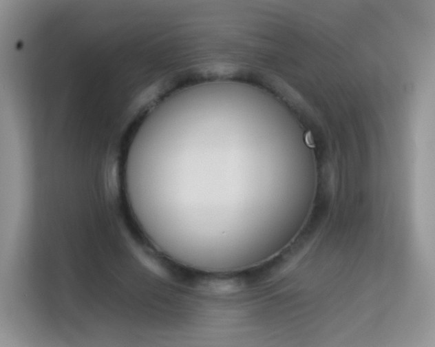 X0000113170638200909111035