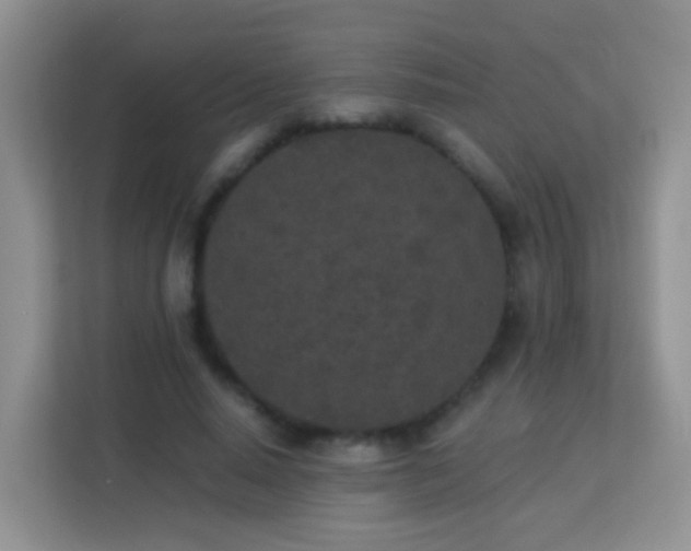 X0000113170640200909111035