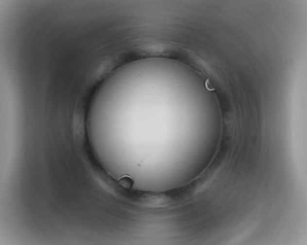 X0000113170642200909111035