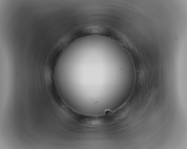 X0000113170643200909111035