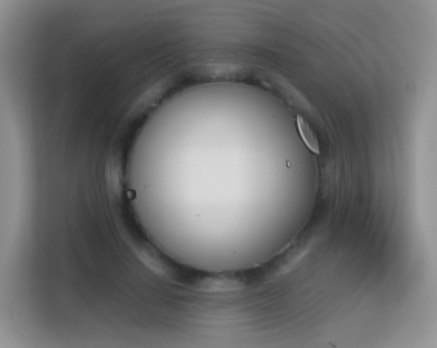 X0000113170644200909111035