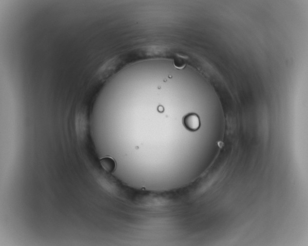 X0000113170648200909111035