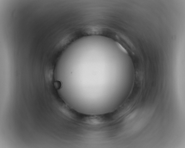 X0000113170652200909111035