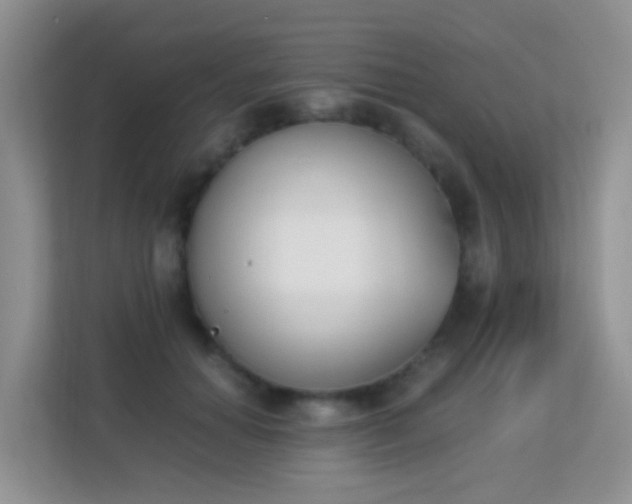 X0000113170654200909111035