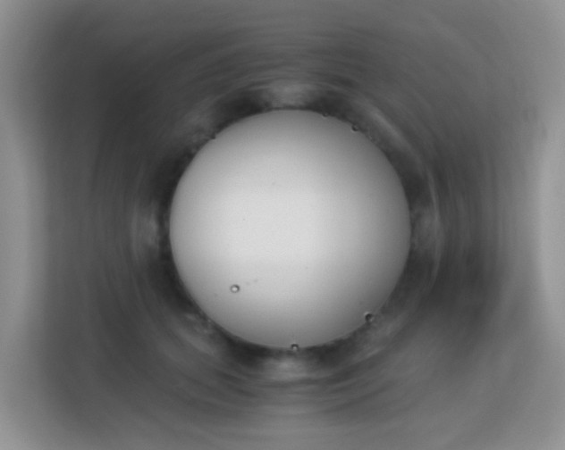 X0000113170655200909111035