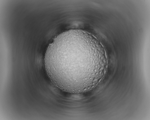 X0000113170659200909111035