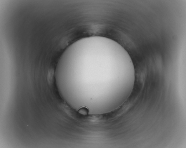 X0000113170660200909111035