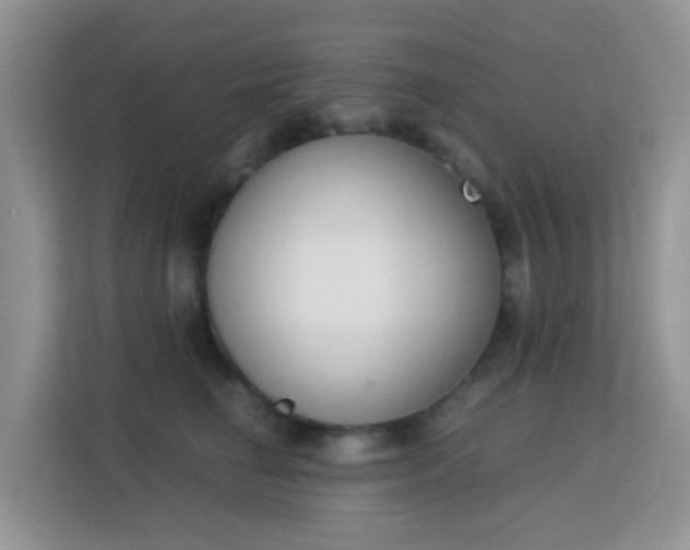 X0000113170662200909111035