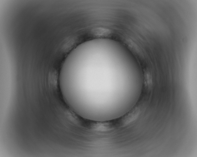 X0000113170664200909111035
