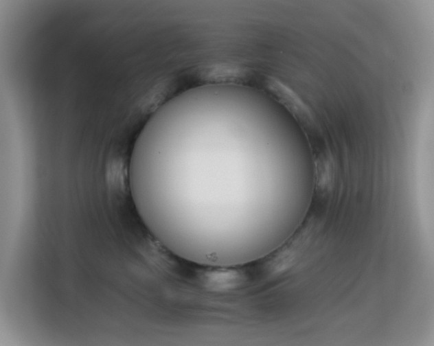 X0000113170669200909111036