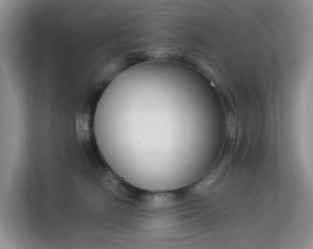 X0000113170670200909111036