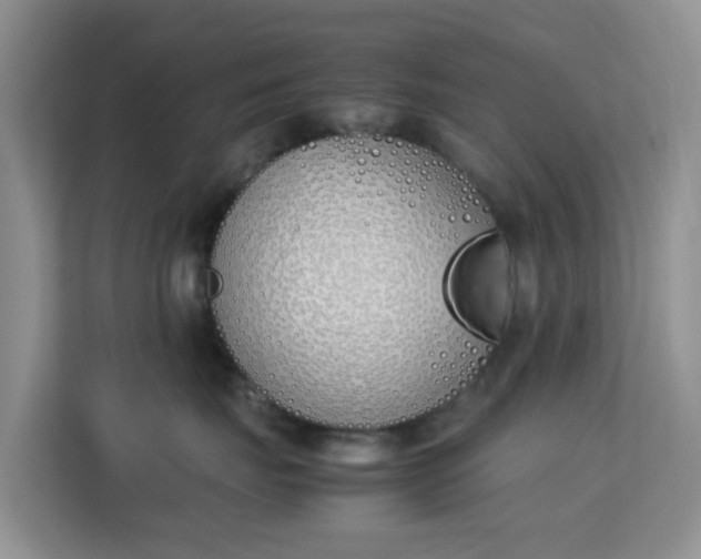 X0000113170671200909111036