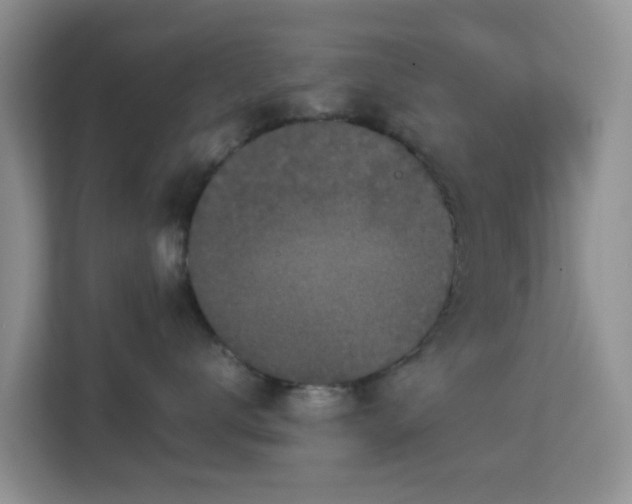X0000113170672200909111036