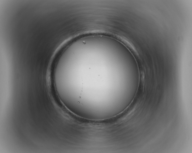 X0000113170676200909111035