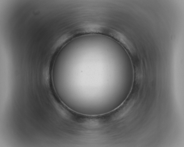 X0000113170677200909111035