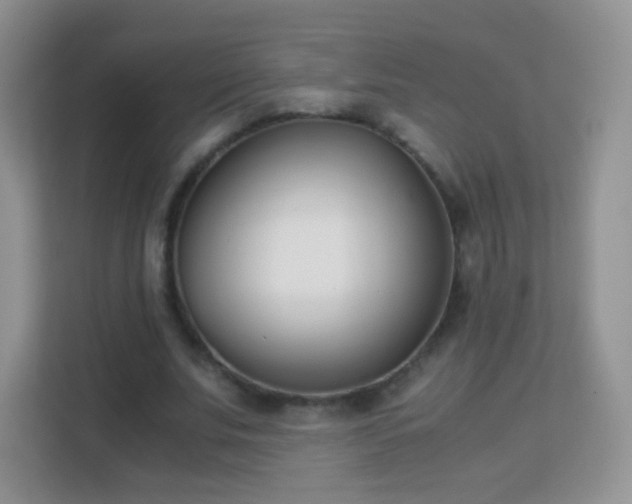 X0000113170679200909111035