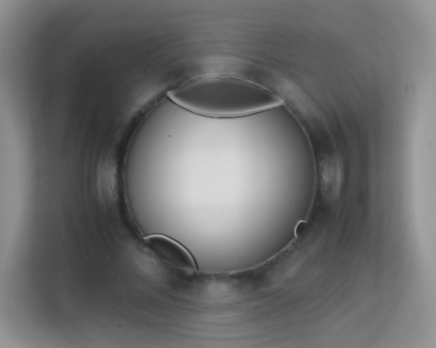 X0000113170684200909111035