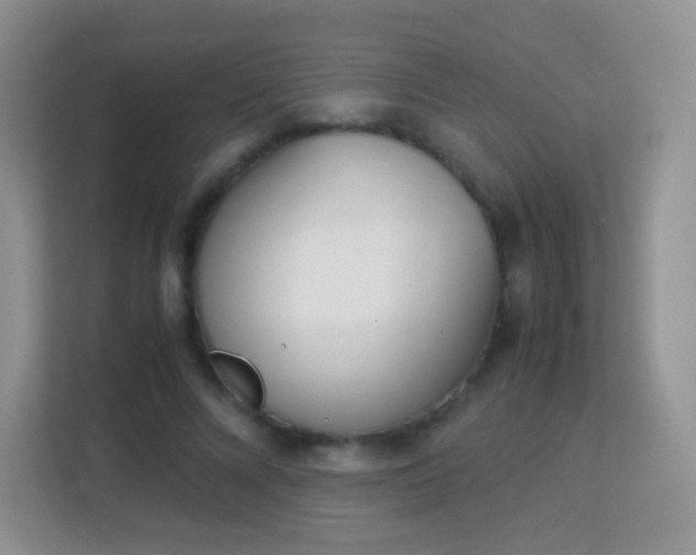 X0000113170688200909111035