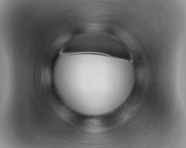 X0000113170692200909111035