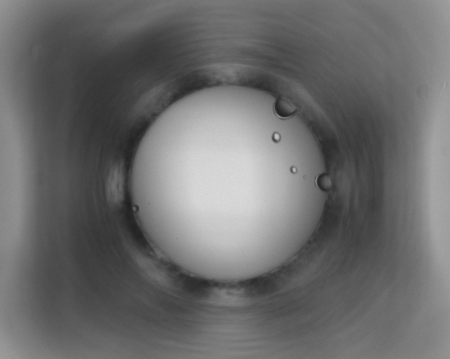 X0000113170694200909111035