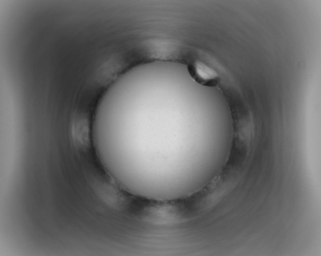 X0000113170696200909111035