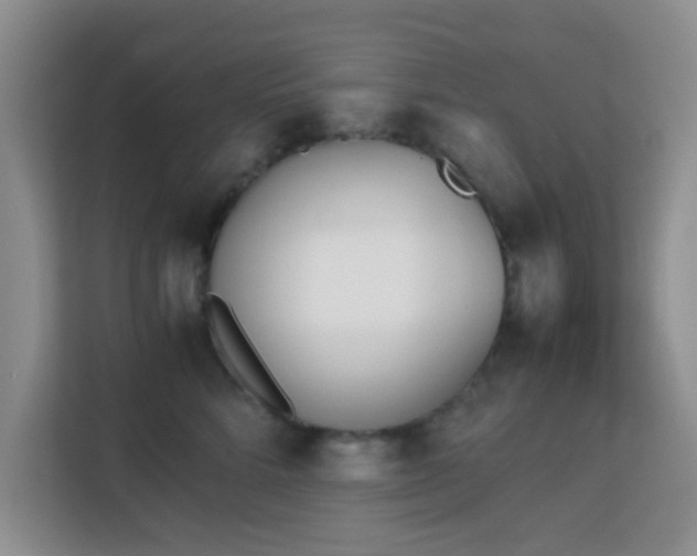 X0000113170712200909111034