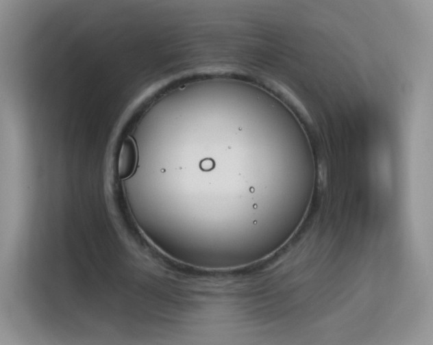 X0000113170724200909111034