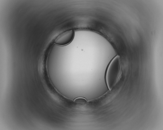 X0000113170728200909111034