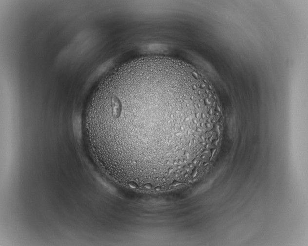 X0000113170729200909111034