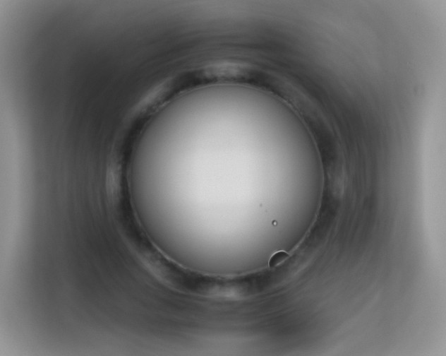 X0000113170735200909111034