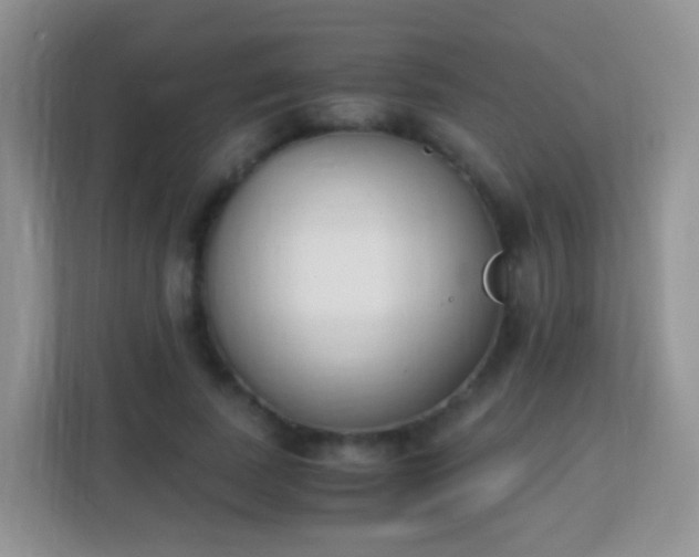X0000113170739200909111034