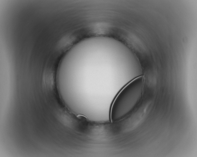 X0000113170740200909111034