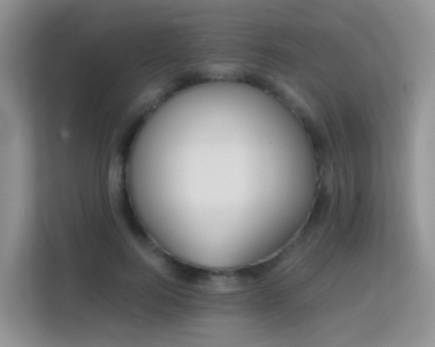 X0000113170744200909111034