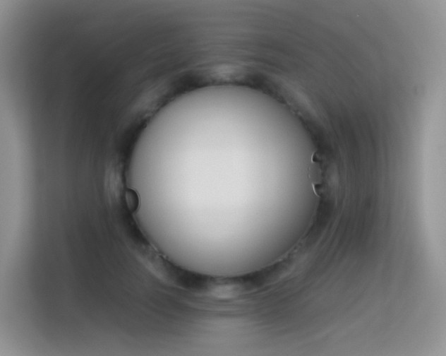 X0000113170746200909111034