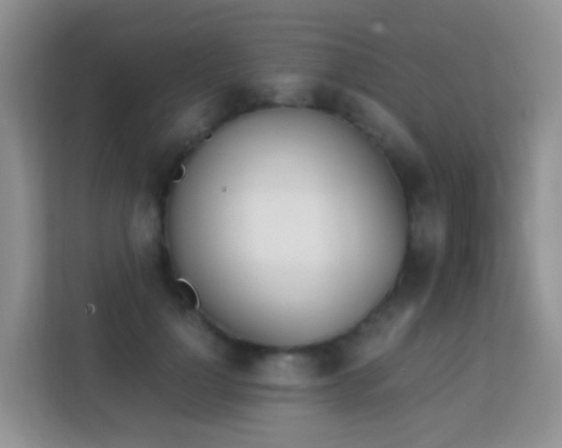 X0000113170748200909111034