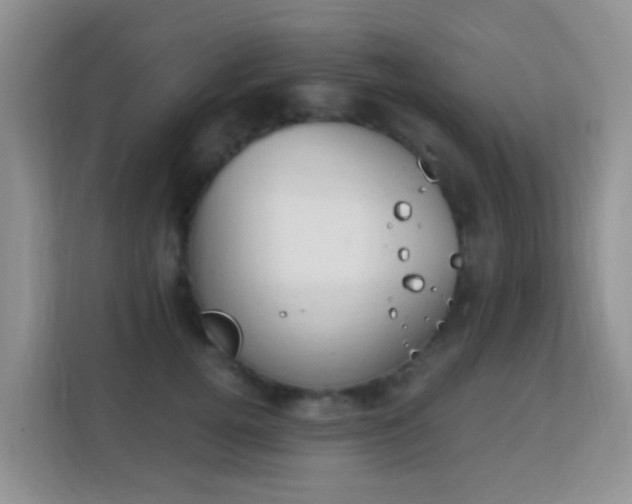X0000113170752200909111034