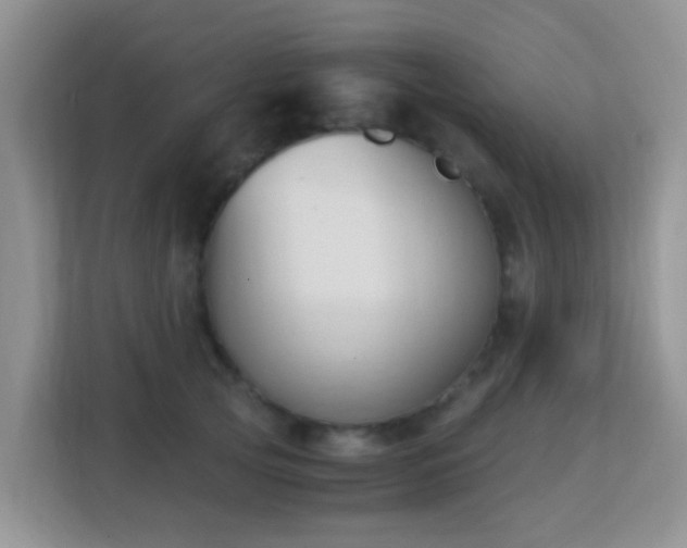 X0000113170753200909111034