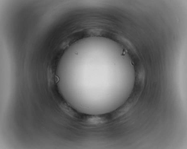 X0000113170759200909111034
