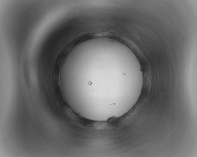 X0000113170762200909111034