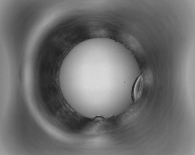 X0000113170764200909111034