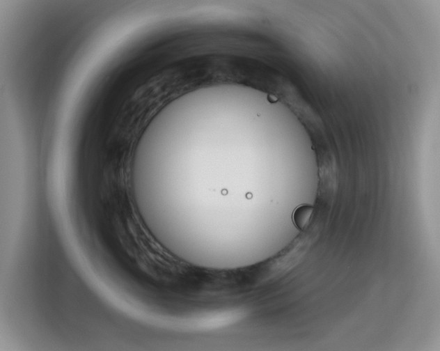 X0000113170765200909111034